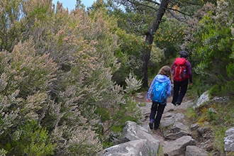 Forest bathing, Toscana, Isola d'Elba, sentiero delle farfalle