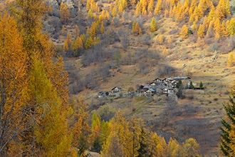 Forest bathing, Valle d'Aosta, Triatel, Petit Monde