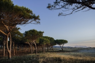 Spiaggia di Budoni_natura