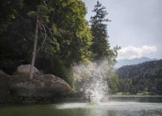 Laghi balneabili Tirolo