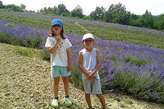 Campi di lavanda in Piemonte, gita con bambini