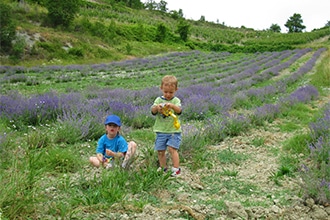 Campi di lavanda in Piemonte, gita con bambini a Spigno