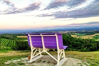 Campi di lavanda in Piemonte, big bench