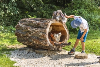 Fuchsfaehrte Vacanze in Carinzia