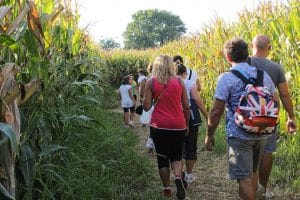 Labirinto di Hort a Senigallia