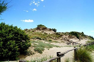 Il mare di Pisa con i bambini, oasi WWF dune di tirrenia