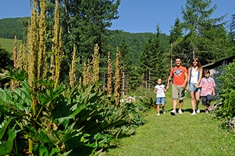 Estate Monte Bondone, giardino botanico alpino Viote