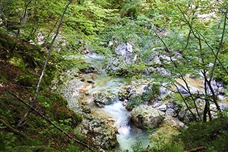 Parco d'Abruzzo con i bambini, camosciara, sentiero delle cascate