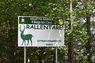 Parco d'Abruzzo con i bambini, cervi a Villetta Barrea