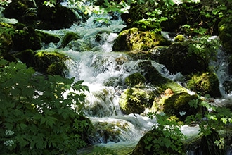 Parco d'Abruzzo con i bambini, sentiero per le sorgenti