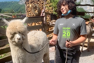 Weekend a Comano con i bambini, trekking con lama, alpaca e asinelli