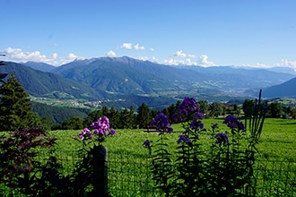 Family hotel Alpenhof a Maranza, il verde intorno