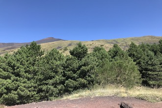 Sentiero Schiena dell'Asino sull'Etna