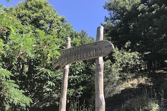 Sentiero Schiena dell'Asino sull'Etna