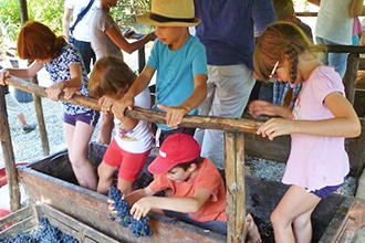 Vendemmiare con i bambini al Castello di Gropparello