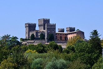 Bosco del Sasseto, Castello di Torre Alfina
