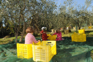 Frantoi Aperti con bambini