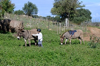 Agriturismo La Valentina Nuova in Maremma, attività con gli asinelli