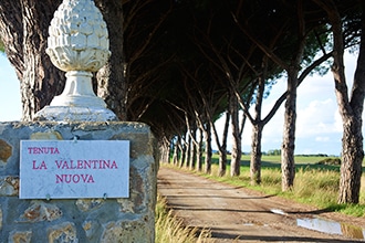 Agriturismo La Valentina Nuova in Maremma