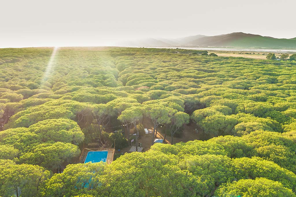 Camping Village Le Marze per bambini in Maremma, la pineta