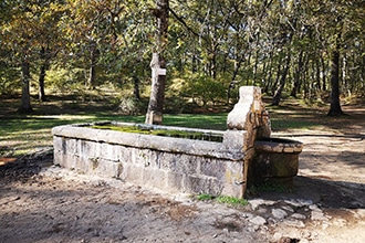 Gita al Bosco Macchia Grande di Manziana con i bambini