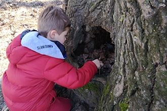 Gita con i bambini al Parco di Veio, vicino Roma