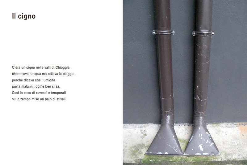 Pagina "Cigno" del libro Occhio Ladro