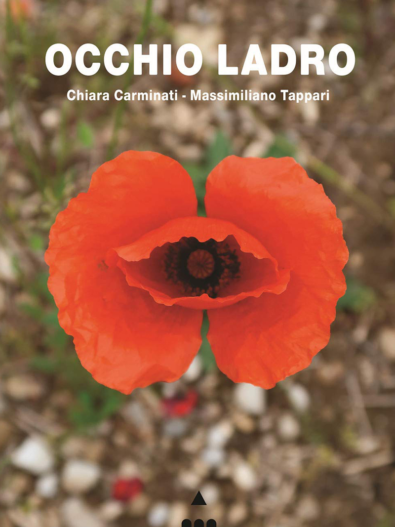 Libro "Occhio Ladro"