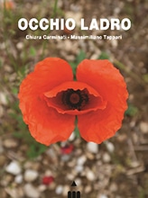 Recensione del libro fotografico Occhio ladro, copertina