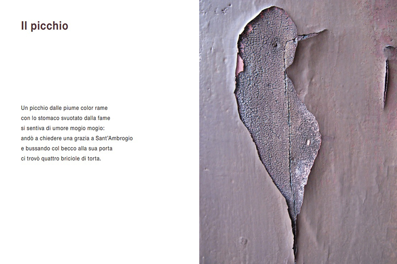 Pagina "Picchio" del libro Occhio Ladro