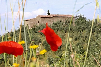 Museo Leonardiano di Vinci, casa natale di Anchiano