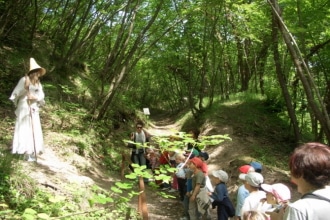 Bosco dei folletti nelle Marche