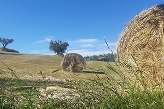 Cammino Kalabria coast to coast in Calabria con i bambini, Petrizzi