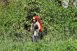 Cammini con bambini, Roberta Ferraris esperta della via Francigena