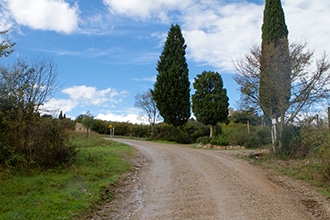 Via Francigena Toscana con i bambini