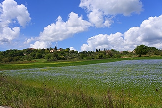 Camminare con i bambini lungo la Via Francigena in Toscana, la Val d'Elsa