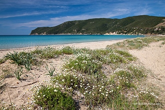 Isola d'Elba, spiagge per famiglie con bambini, spiaggia di Lacona