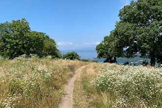 Trekking sul Lago di Garda con i bambini, alla Rocca di Garda