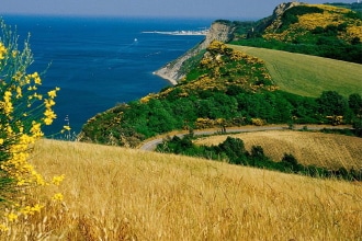 Colle Monte San Bartolo