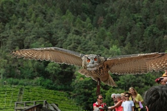 Tirolo - Gufyland