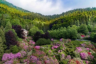 Gite di primavera in Piemonte con i bambini, Oasi Zegna