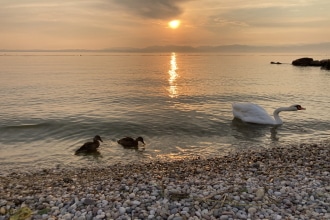 Tramonto Lago di Garda