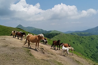 Garfagnana con bambini, passeggiata sul Monte Matanna