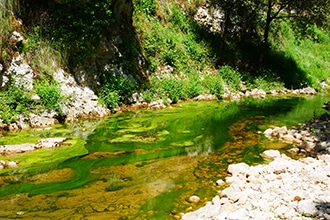 Pastena, il Fosso Mastro