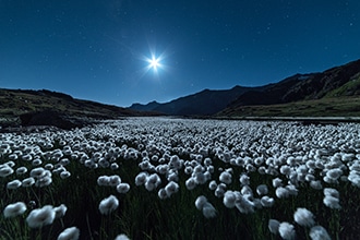 Passeggiate in Trentino con i bambini, notte in Val di Rabbi, foto di Trentino Marketing/F. Vaona