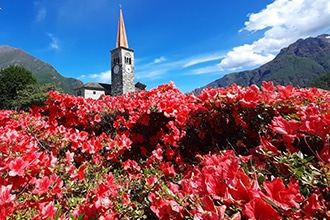 Escursione Anello Pieve Vergonte