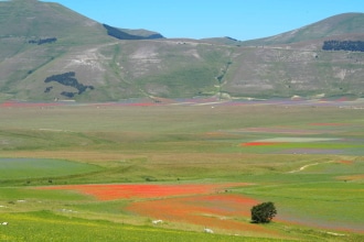 Castelluccio di Norcia