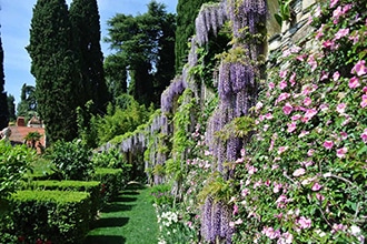 Giardini di Villa della Pegola