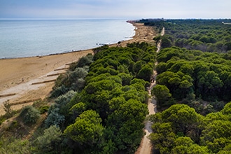 Bibione in bici con i bambini, esperienze nella natura