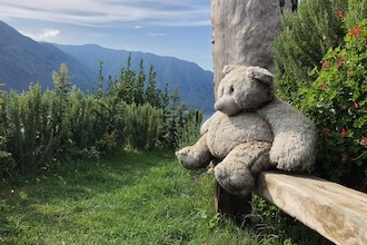 Lago di Como - Grand Hotel Tremezzo, la mascotte Bobo